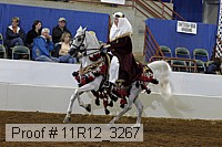 11r12_3267 proof