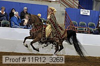 11r12_3269 proof