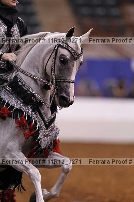 Proof 11r12_3271
