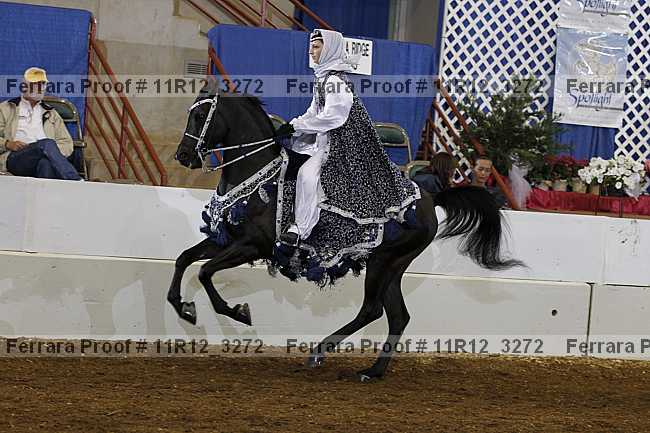 Proof 11r12_3272