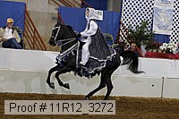 11r12_3272 proof