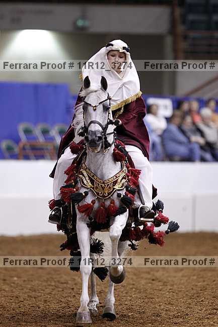 Proof 11r12_3274