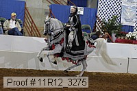 11r12_3275 proof