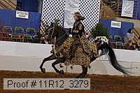 11r12_3279 proof
