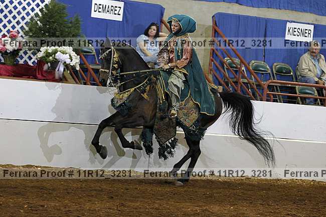 Proof 11r12_3281