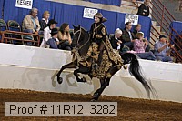 11r12_3282 proof