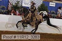 11r12_3283 proof
