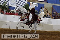 11r12_3284 proof
