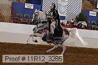 11r12_3285 proof