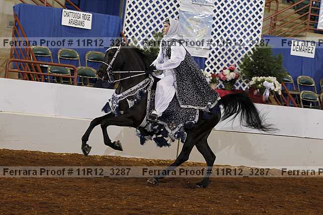 Proof 11r12_3287