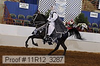 11r12_3287 proof