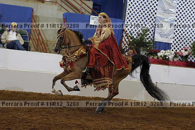 Proof 11r12_3288