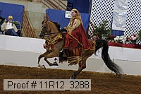 11r12_3288 proof