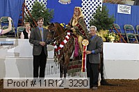 11r12_3290 proof