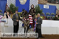 11r12_3294 proof