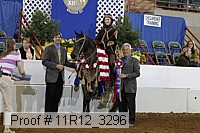 11r12_3296 proof