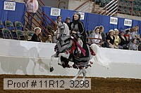 11r12_3298 proof