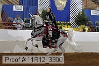 11r12_3300 proof