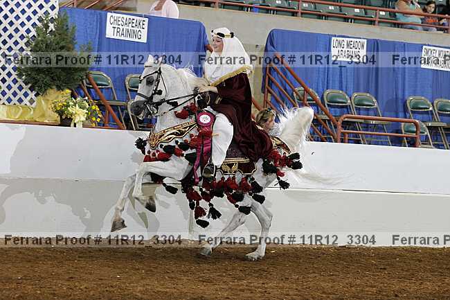 Proof 11r12_3304