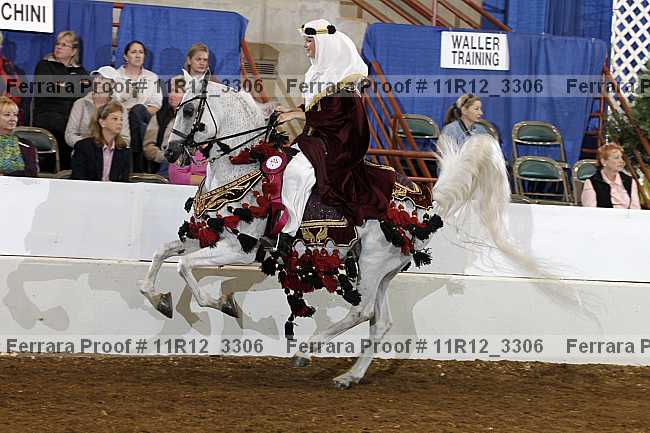 Proof 11r12_3306