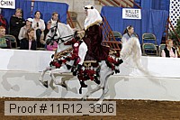 11r12_3306 proof