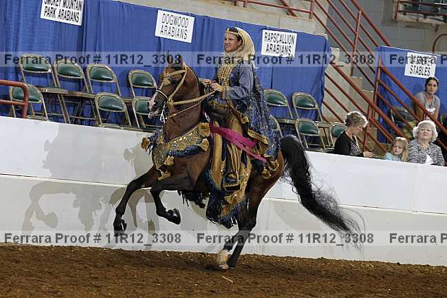 Proof 11r12_3308