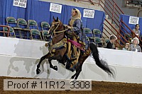 11r12_3308 proof