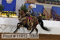 11r12_3309 proof