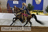 11r12_3310 proof
