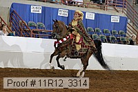 11r12_3314 proof