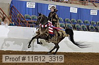 11r12_3319 proof