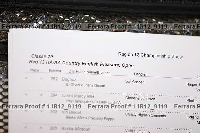Proof 11r12_9119