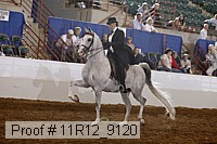 11r12_9120 proof