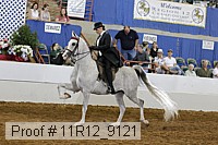 11r12_9121 proof