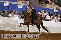 11r12_9122 proof