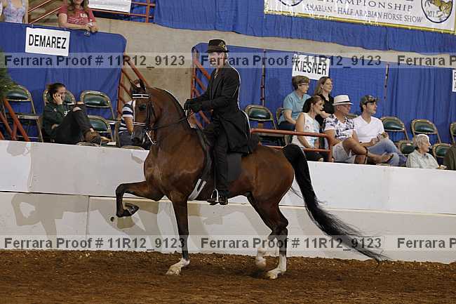 Proof 11r12_9123