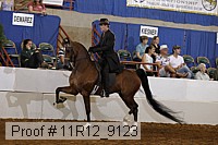 11r12_9123 proof