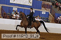 11r12_9124 proof