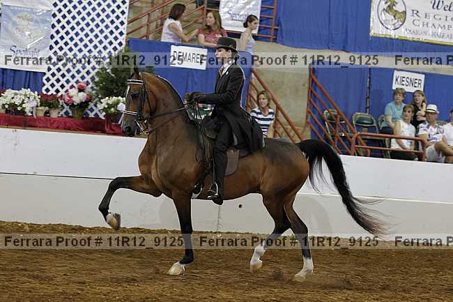 Proof 11r12_9125