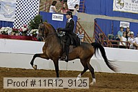 11r12_9125 proof