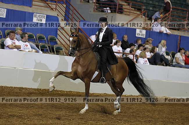 Proof 11r12_9126