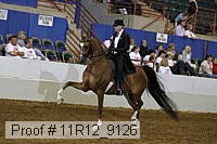 11r12_9126 proof
