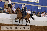 11r12_9127 proof
