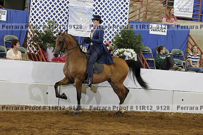Proof 11r12_9128