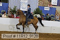 11r12_9128 proof