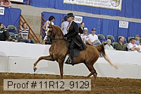 11r12_9129 proof