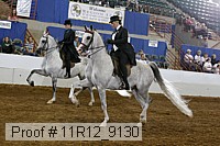 11r12_9130 proof