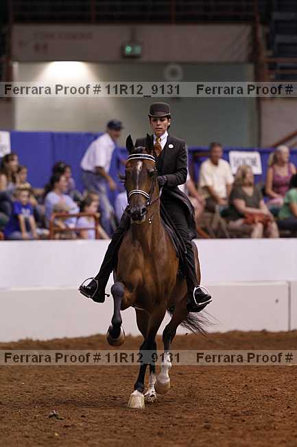 Proof 11r12_9131