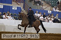11r12_9132 proof