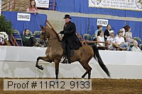 11r12_9133 proof